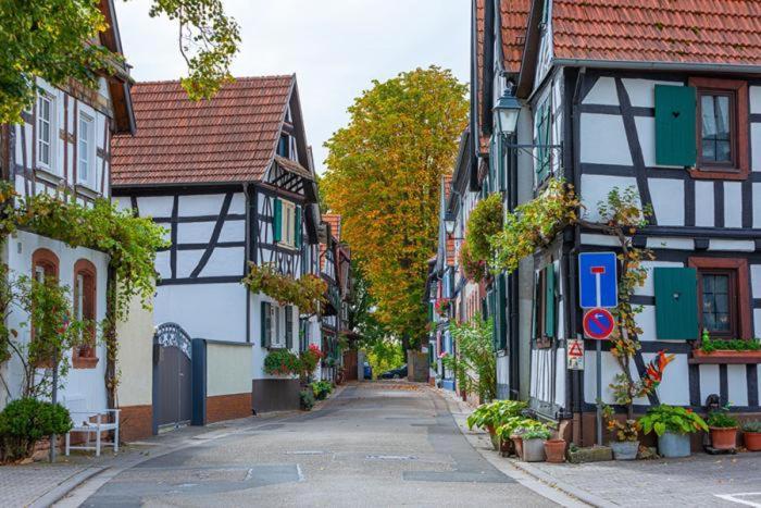 Ferienwohnung Piccolino Jockgrim Luaran gambar